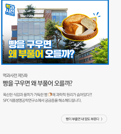 [해피라이프] 먹과사전 5화_ 빵을 구우면 왜 부풀어 오를까? 빵이 부풀면 내 맘도 부푼다