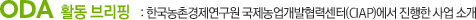 CIAP 활동 브리핑